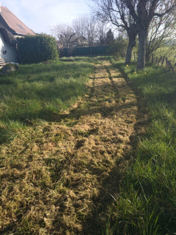 Débroussaillage intensif Cantal 15000