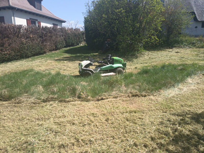 Débroussaillage intensif Cantal 15000