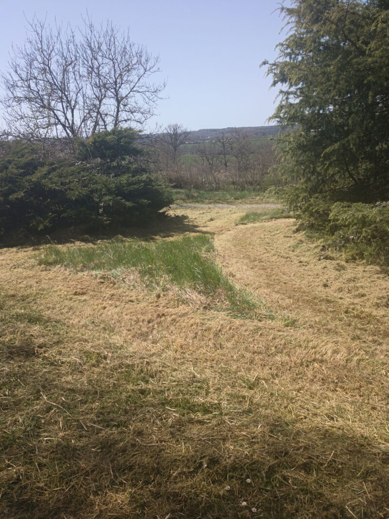 Débroussaillage intensif Cantal 15000