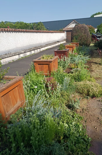 Nicolas Lherme plantations avec bacs dans le Cantal 15000