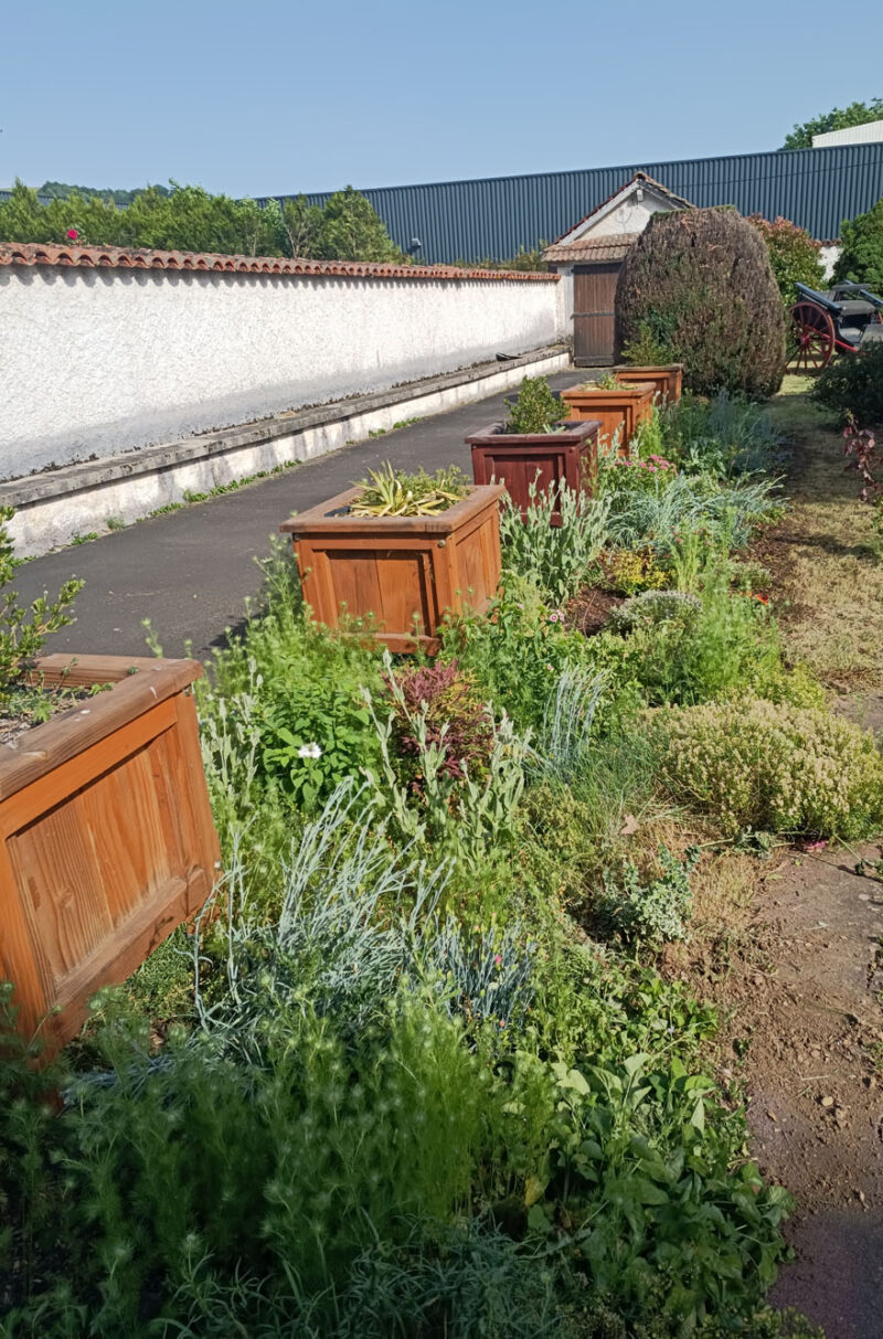 Nicolas Lherme plantations avec bacs dans le Cantal 15000