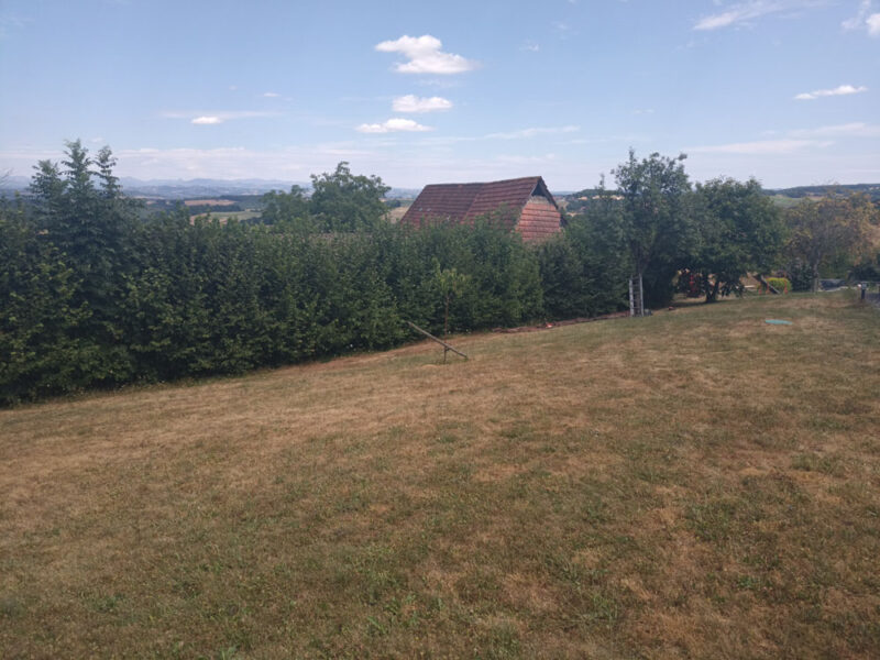 Mise aux normes de haie dans le Cantal 15000