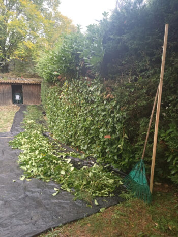 Rabattage des haies dans le Cantal 15000