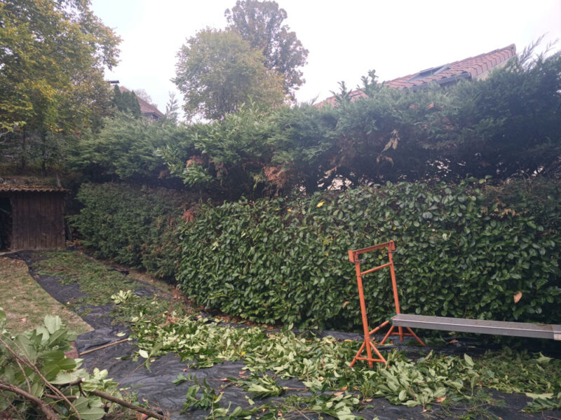 Rabattage des haies dans le Cantal 15000