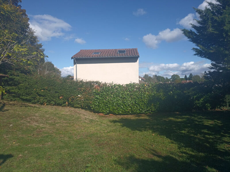 Rabattage des haies dans le Cantal 15000