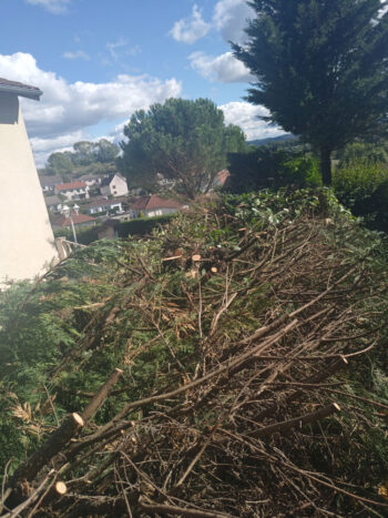 Rabattage des haies dans le Cantal 15000