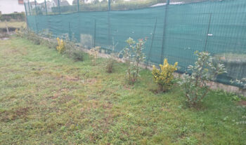 Plantation de haies