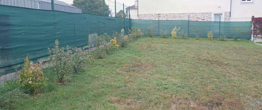 Aménagements du paysage, Plantation de haie en feuillus persistants