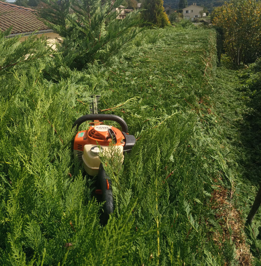 Entretien courant de vos jardins