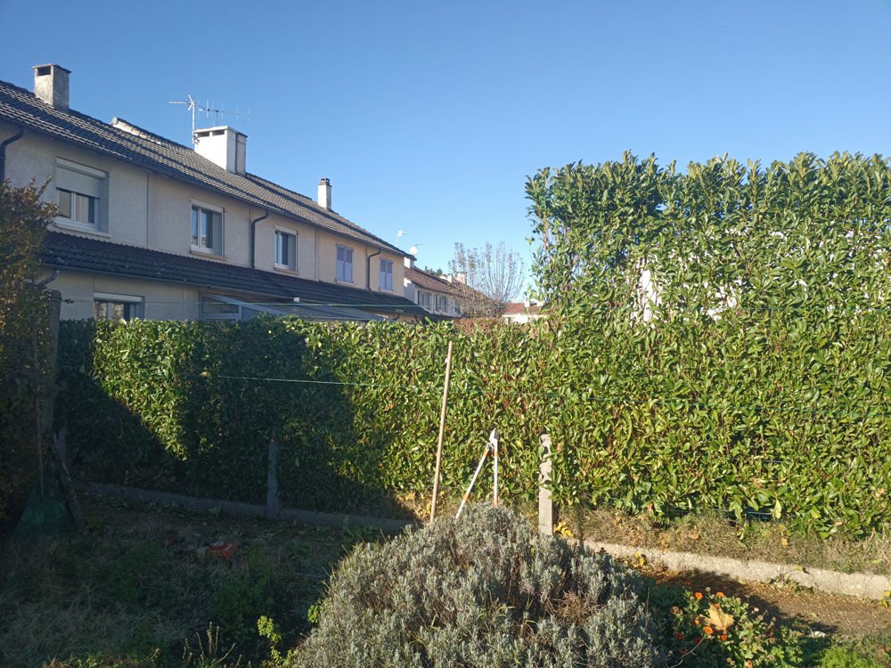 Rabattage, taille et mise aux normes des haies