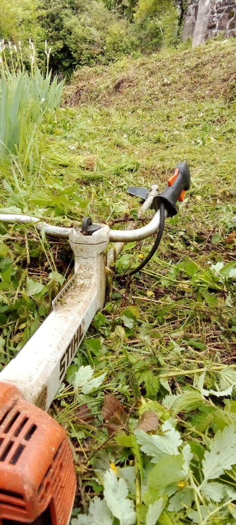 Nicolas Lherme débroussaillage intensif  dans le Cantal 15000