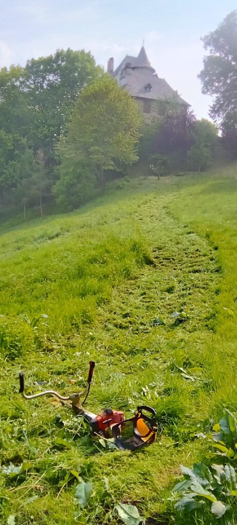 débroussaillage intensif Cantal 15000