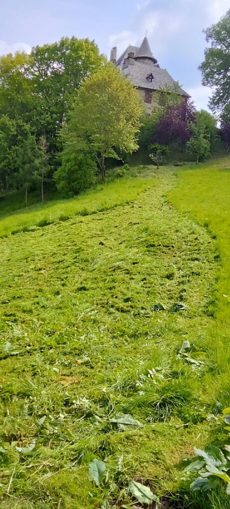 Débroussaillage intensif Cantal 15000