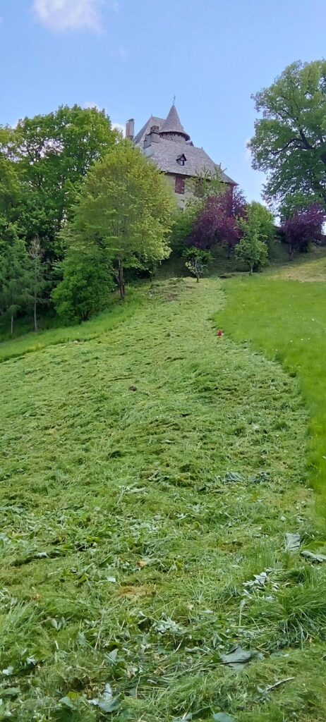 Débroussaillage intensif Cantal 15000