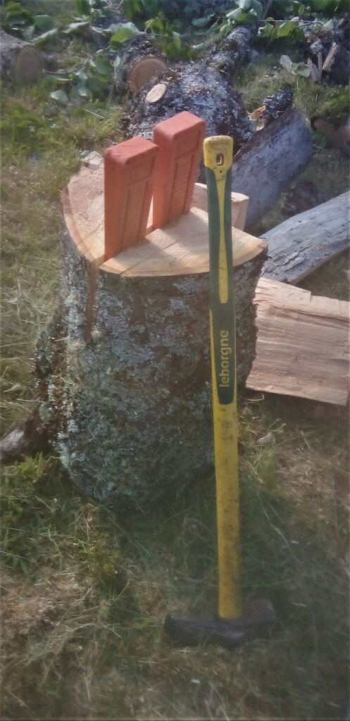 Nicolas Lherme abattage d'arbre  dans le Cantal 15000